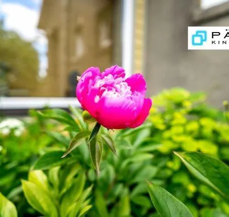 Sireli Vakantiehuis Pärnu