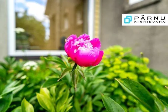 Sireli Будинок відпочинку Пярну